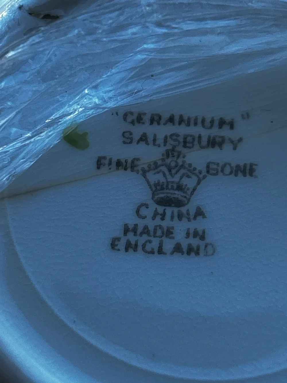 Vintage Geranium Salisbury Fine Bone China Teacup and Saucer made in England